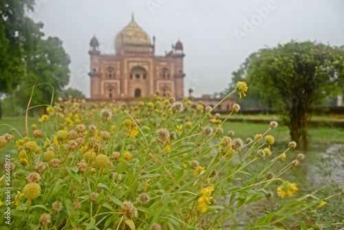 exterior of Safdarjung tomb Delhi