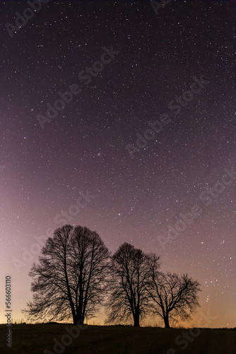 starry sky over field and tree