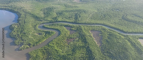 Forêt amazonienne Suriname