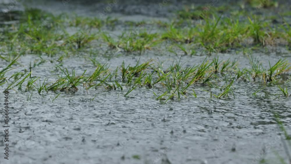 Splashes of rainwater that fall on the grass do not absorb completely and create puddles Splashes of rainwater that fall on the grass do not absorb completely and create puddles