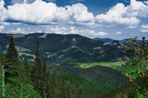 Beautiful scenery of forested Carpathian mountains in summer, green fir trees in foreground, meadow valley in the centre; amazing nature landscape with expressive voluminous sky and clouds