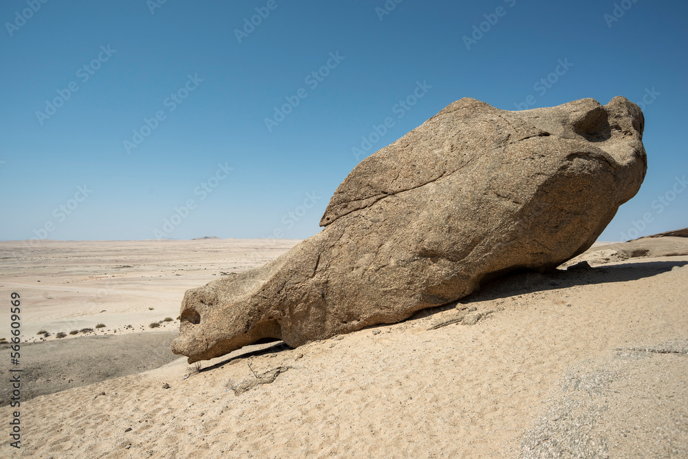 weathered desert rock
