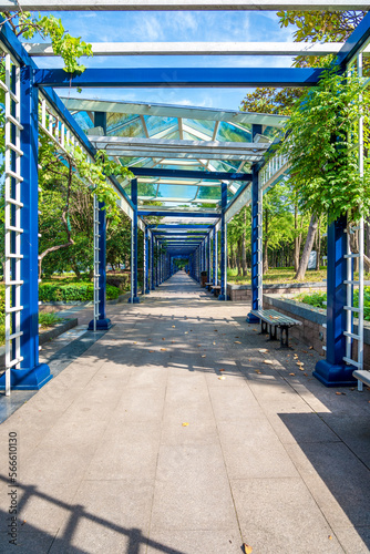 A corridor in a nice city park photo
