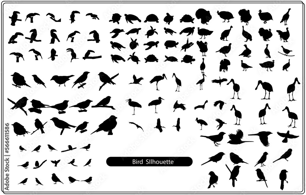 Set of black isolated silhouettes of crows. Collection of different birds position.
