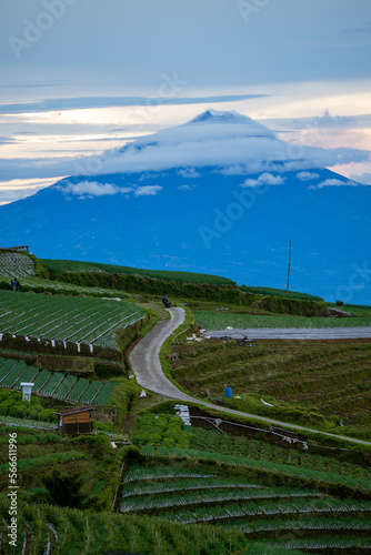 Majestic view of mount merapi in java with curved road and crop terrace 