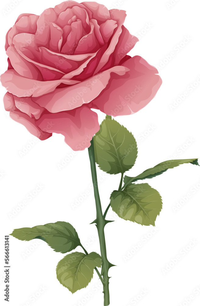 Fototapeta premium Vector illustration of a rose on an isolated background. Pink flower bud with leaves. Gift for valentines day, holiday, romance. spring illustration