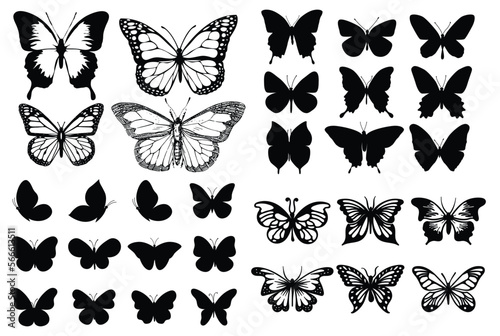 Set of realistic vector butterflies. Collection of vintage elegant illustrations of butterflies. Design element for your project. vector illustration isolated on white background © MONIR