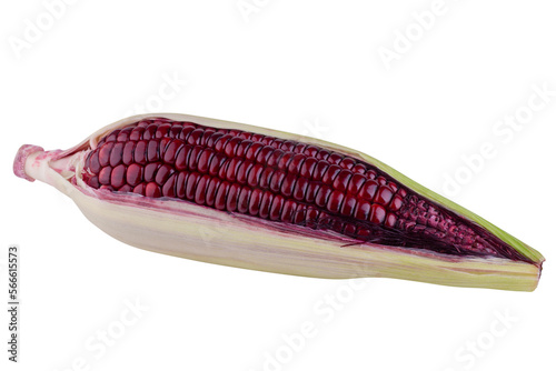 fresh purple corn isolated on a alpha background