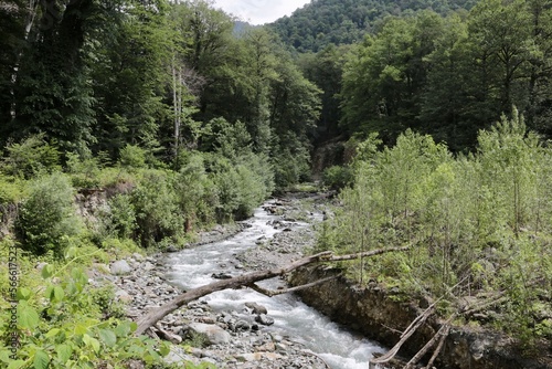 wild river with forest, Caucasus, Georgia photo