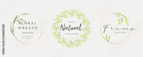 Spring floral frames. Elegant vintage wreath, logo with watercolor leaves and golden line. Vector illustration for labels, corporate identity, wedding invitations