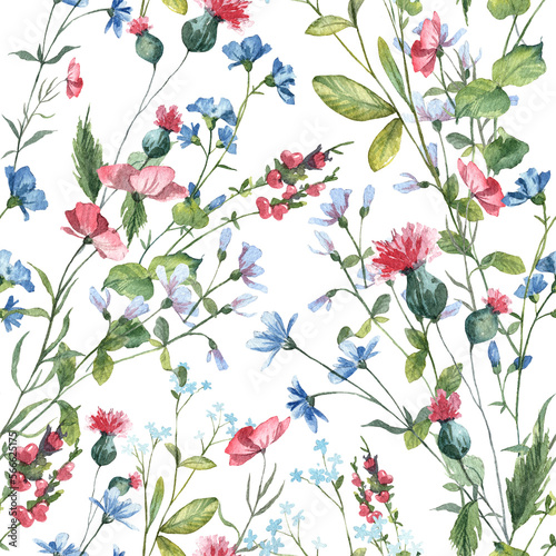 Floral seamless pattern with hand painted watercolor botany wildflowers on white background. Wallpapers and wrapping paper design with detailed colorful realistic plants © Daria Doroshchuk