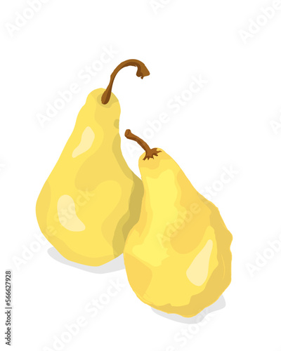 Two golden pears