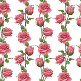 Seamless pattern with pink roses. Botanical texture with beautiful flowers. Romance, valentine's day. Great for wrapping paper, textiles, wallpapers.
