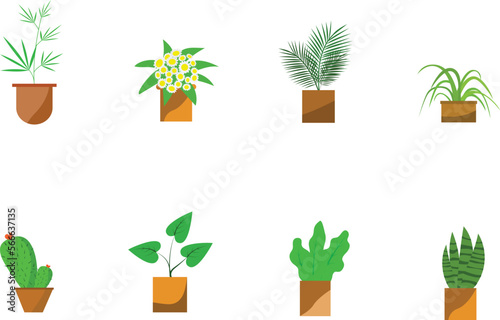 Indoor landscape garden potted plants isolated on white. Vector set green plant in pot.