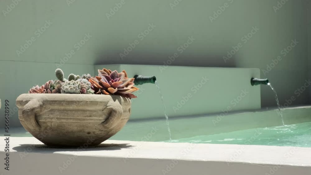 Maceta con plantas crasas al borde de una fuente tipo marroquí a la luz del sol.