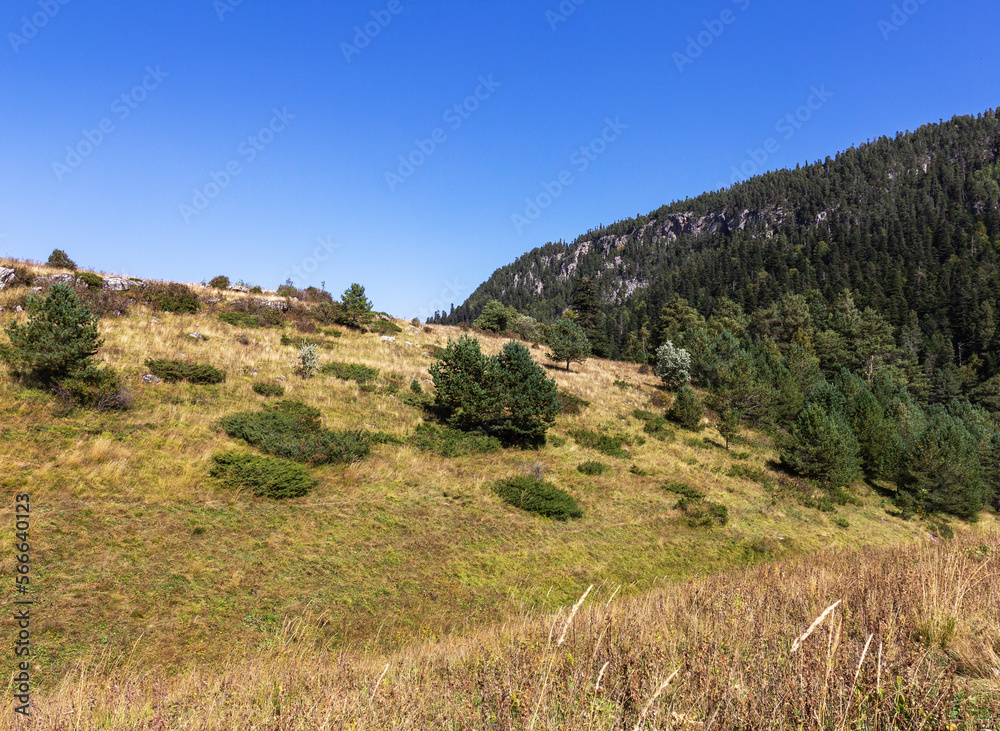 the beginning of autumn in the highlands, alpine meadows with dried vegetation, nature walks, and rest in the mountains.