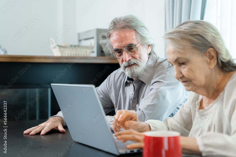 Happy family spouses sitting looking at computer screen at living room,Smiling middle aged man showing video on laptop,Retirement weekend lifestyle concept.