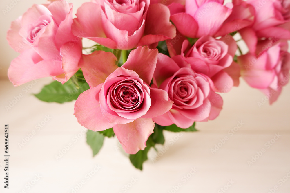 Beautiful pink rose background. Pink roses on white background. Flower background for Mother's day, Women's day, Wedding and Valentine's day.