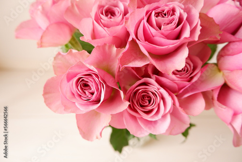 Beautiful pink rose background. Pink roses on white background. Flower background for Mother s day  Women s day  Wedding and Valentine s day.