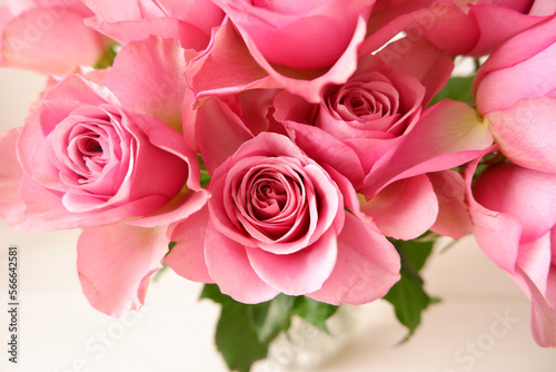 Beautiful pink rose background. Pink roses on white background. Flower background for Mother s day  Women s day  Wedding and Valentine s day.