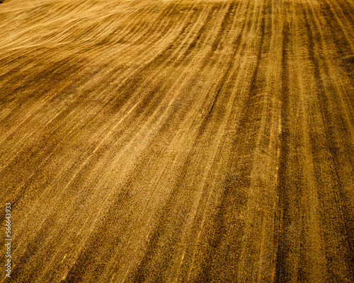 Obraz na plátně Harvested Whet Field