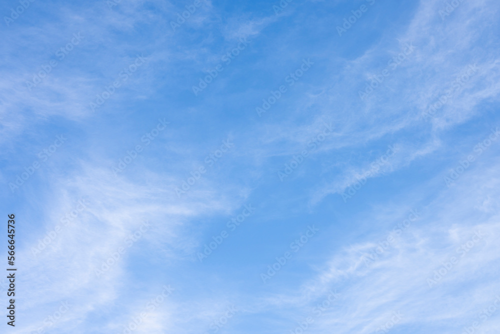 Obraz premium 青空