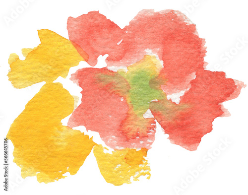abstract watercolor bright flowers