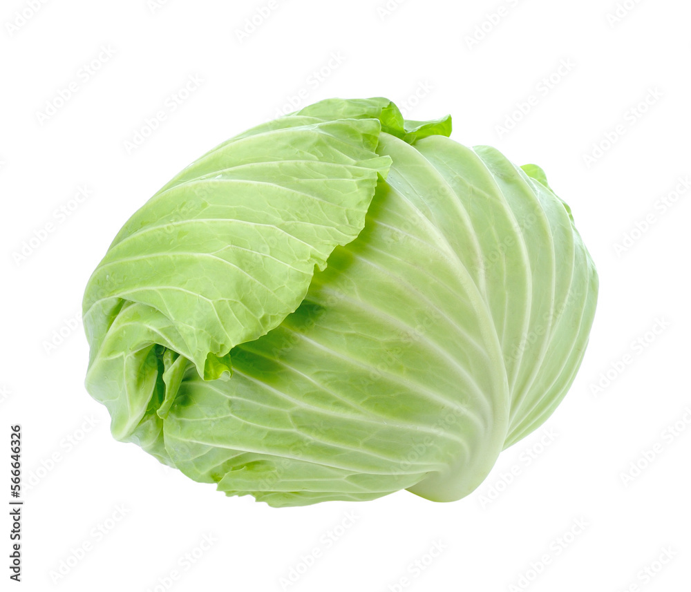 green cabbage isolated on transparent png green cabbage isolated on transparent png