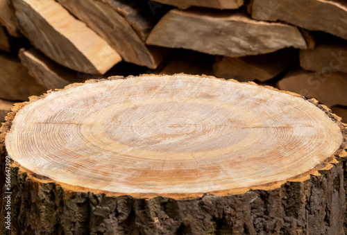 Firewood chopping deck, podium for products. Close-up