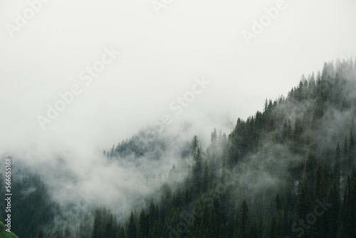 fog in the mountains © Patrick