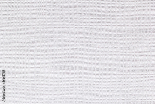 white paper texture