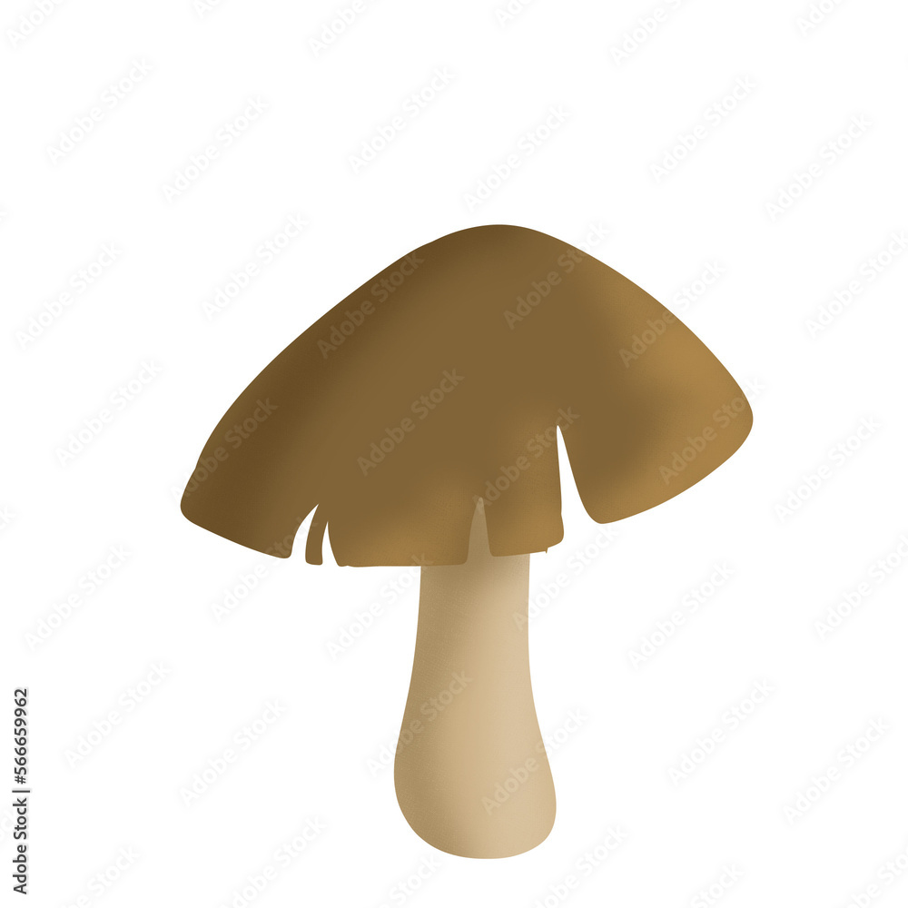 Brown mushroom illistration