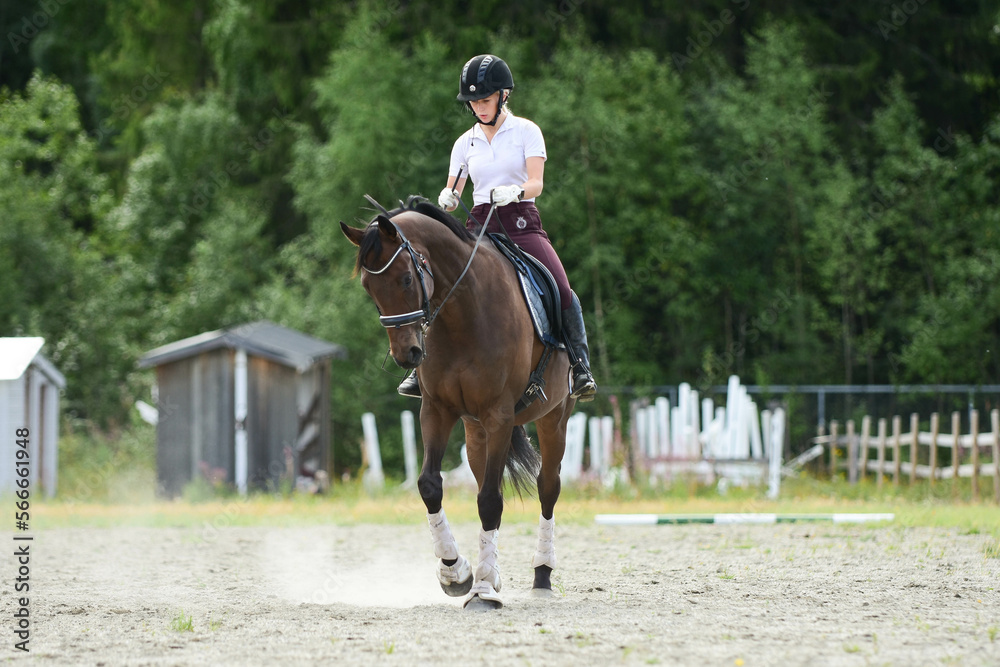 Horse and girl portrait