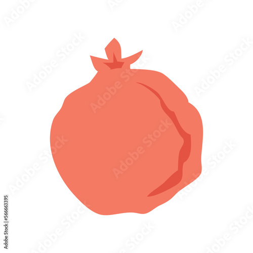 Vector sketch of tropical pomegranate fruit. Round outlines of ripe Garnet isolated on a white background, stock illustration on a horticultural theme. garnet, vector sketch on a white background