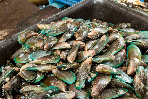 Fresh mussels in a brown plastic container.