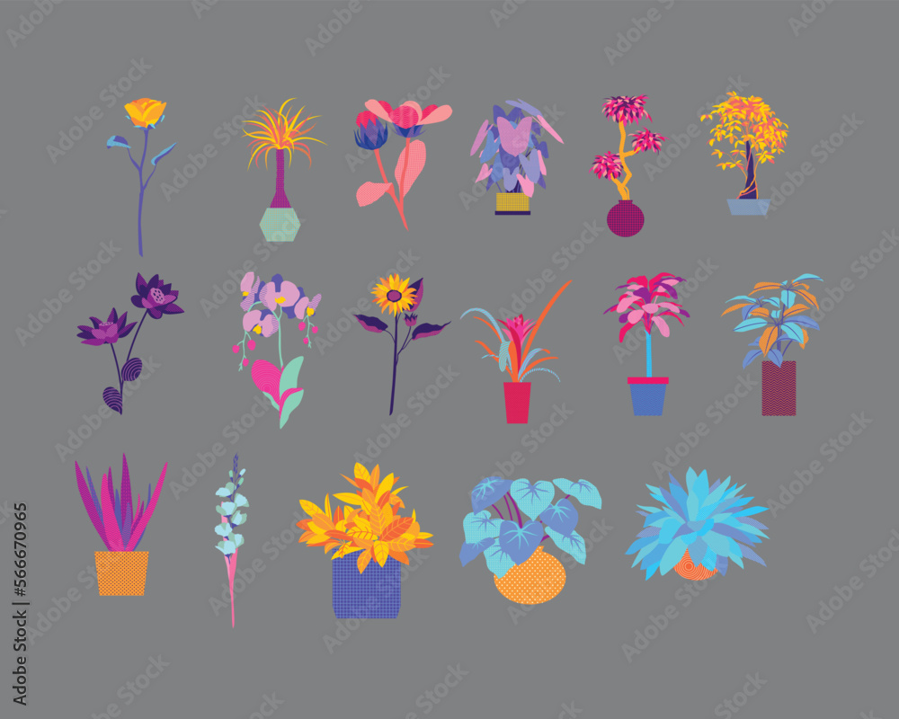 Bold Colors Patterned Poppy Floral Illustration
