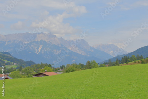 alpine meadow