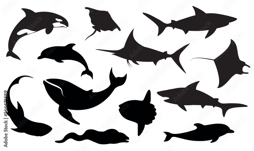 Fototapeta premium Fish and sea animals. Set of different fish. Isolated black silhouettes.Vector