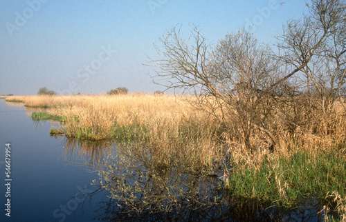 Parc naturel régional de Brière, 44, Loire Atlantique, France