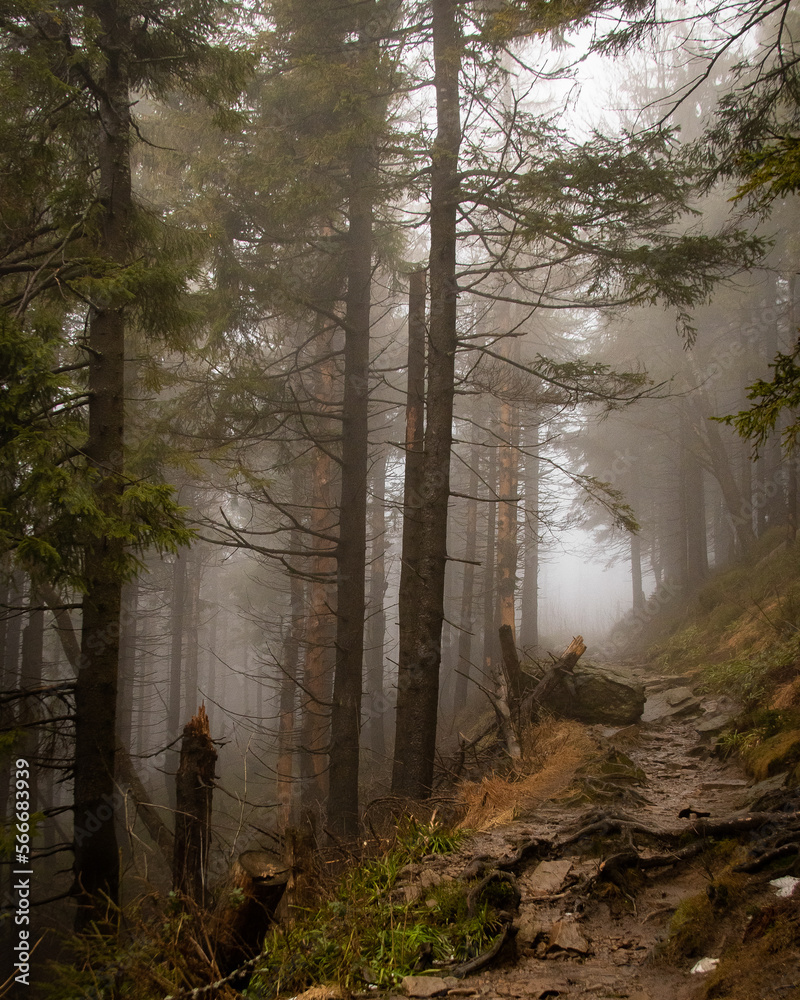 Mountains - Poland