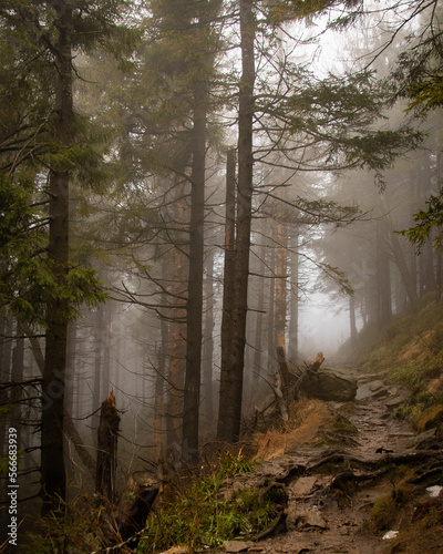 Obraz na płótnie Mountains - Poland w salonie