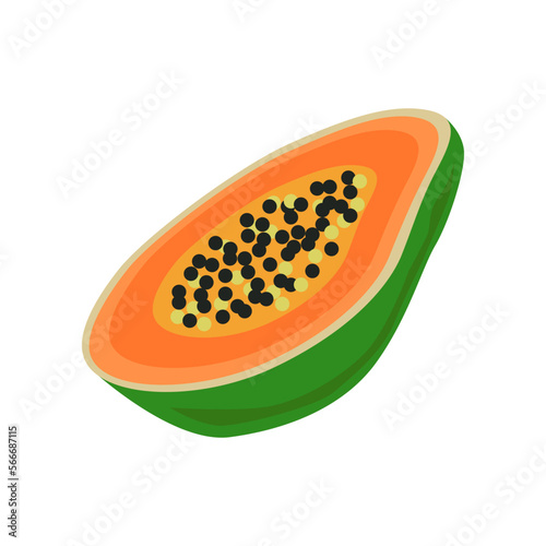Fresh papaya slice vector illustration. Exotic summer fruit for vitamin menu. Fresh tropical food isolated on white background. Superfood, nature concept