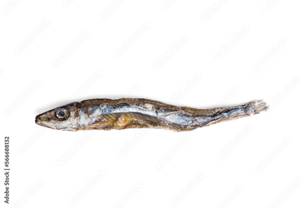 Fotografia do Stock Isolated dried sardine for dogs or cats as treat, healthy snack or health