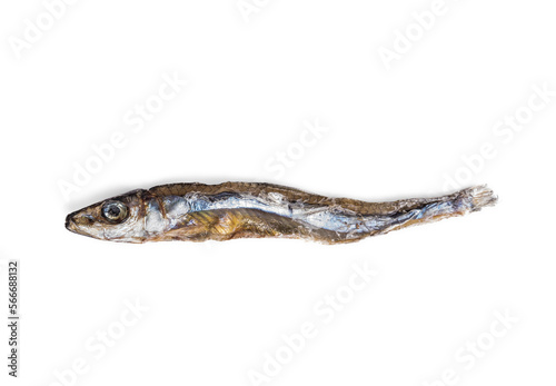 Isolated dried sardine for dogs or cats as treat, healthy snack or health supplement. Top view of dehydrate fish. Rich on protein, omega 3 and 6 and calcium. Great for skin and coat. Selective focus.