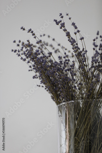 bunch of lavender