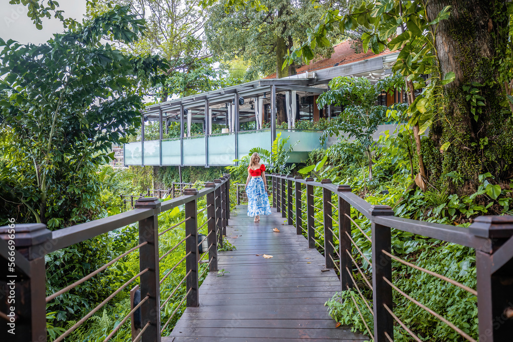 Woman in dress walking on wooden bridge among green tropical forest Woman in dress walking on wooden bridge among green tropical forest