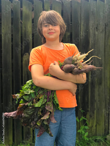 Chłopiec we wiosennym ogrodzie zbierający świeże owoce i warzywa, buraki, pomidory  i maliny