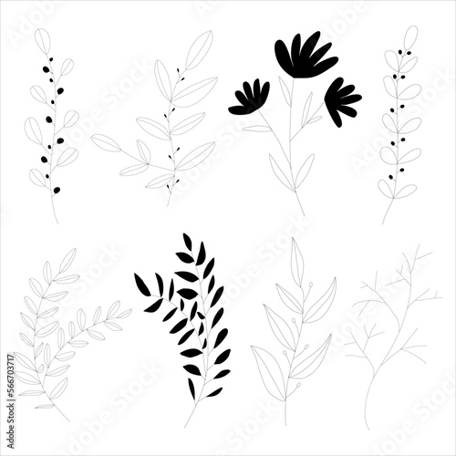 Set of hand drawn vintage ornaments with branches and leaves