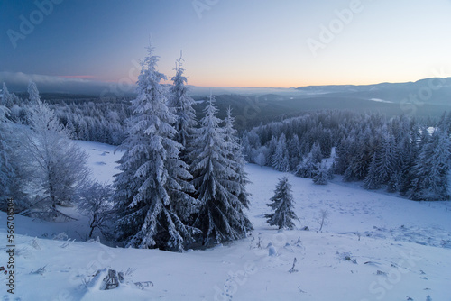 winter landscape with trees during bluehour © Calin