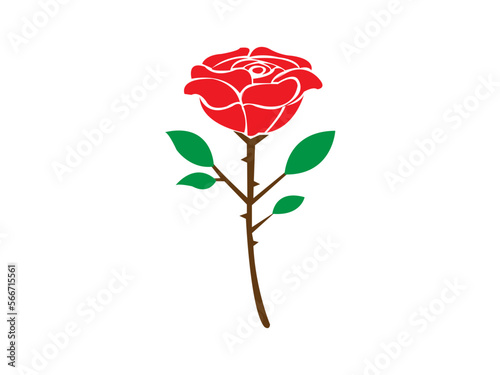 red rose isolated on white. red rose vector design and illustration. red rose with green leaf.